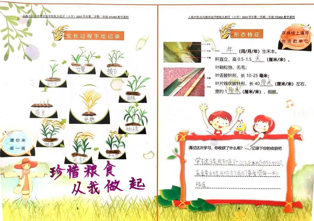 影响世界的中国植物  ——尚德航头校区“根系文化”跨学科综合探究课程（二）图片_262143