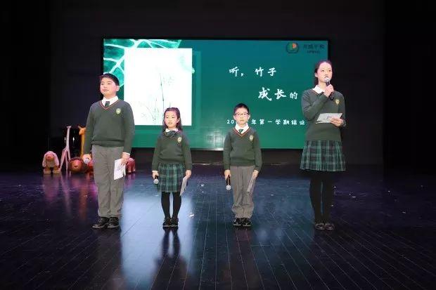 听,竹子成长的声音图片_31 听,竹子成长的声音图片_31