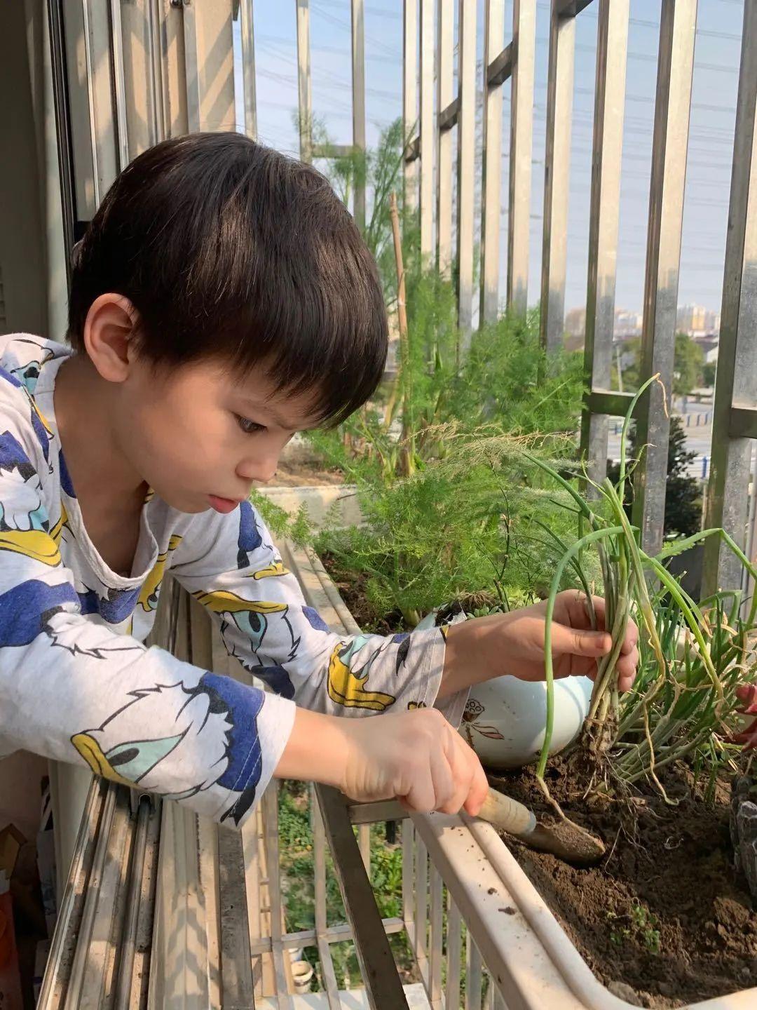 云中信步 家园互动 —— 记尚德幼儿园“云上陪伴”活动图片_63