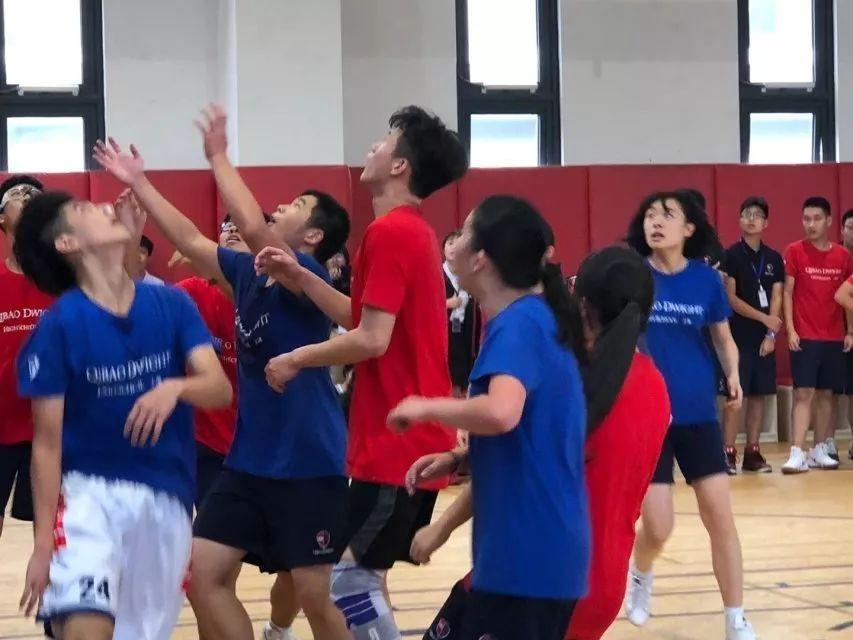 蜕变绽放图片_511 蜕变绽放图片_511