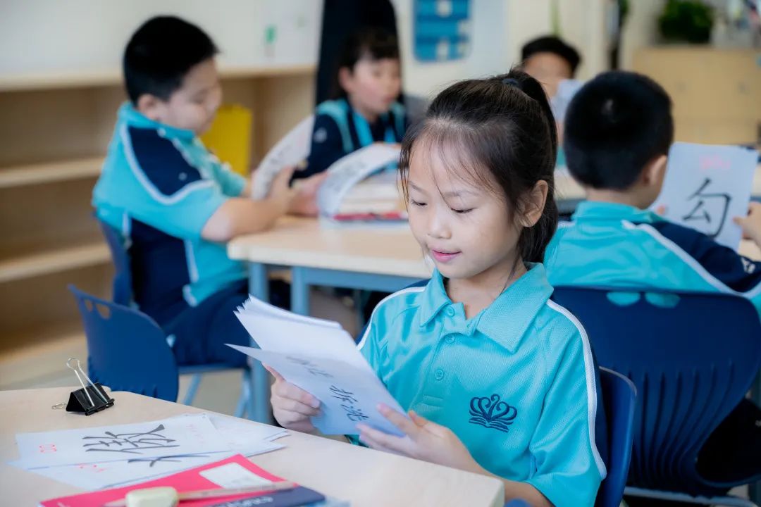 老师，你好-快来认识我们的数学老师邹逸鹤|Meet Our MathTeacher- Amy Zou图片_7