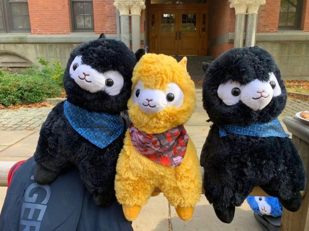 World Scholars Cup 2019 - Another great success! 协和古北世界学者杯再创佳绩图片_255 World Scholars Cup 2019 - Another great success! 协和古北世界学者杯再创佳绩图片_255