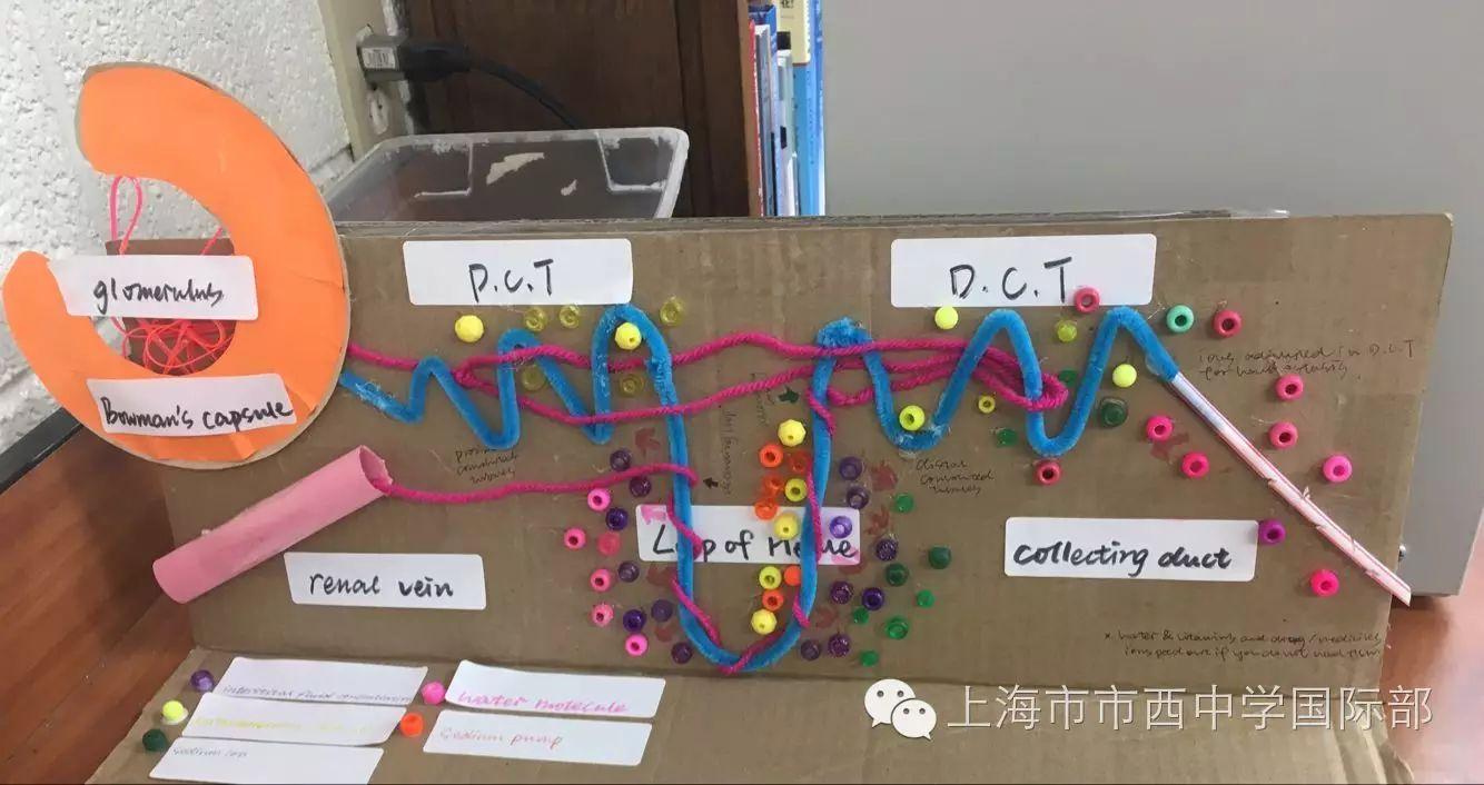 VVS的生活小Tips图片_131071 VVS的生活小Tips图片_131071