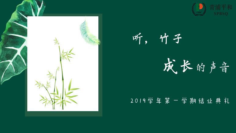 听,竹子成长的声音图片_15 听,竹子成长的声音图片_15
