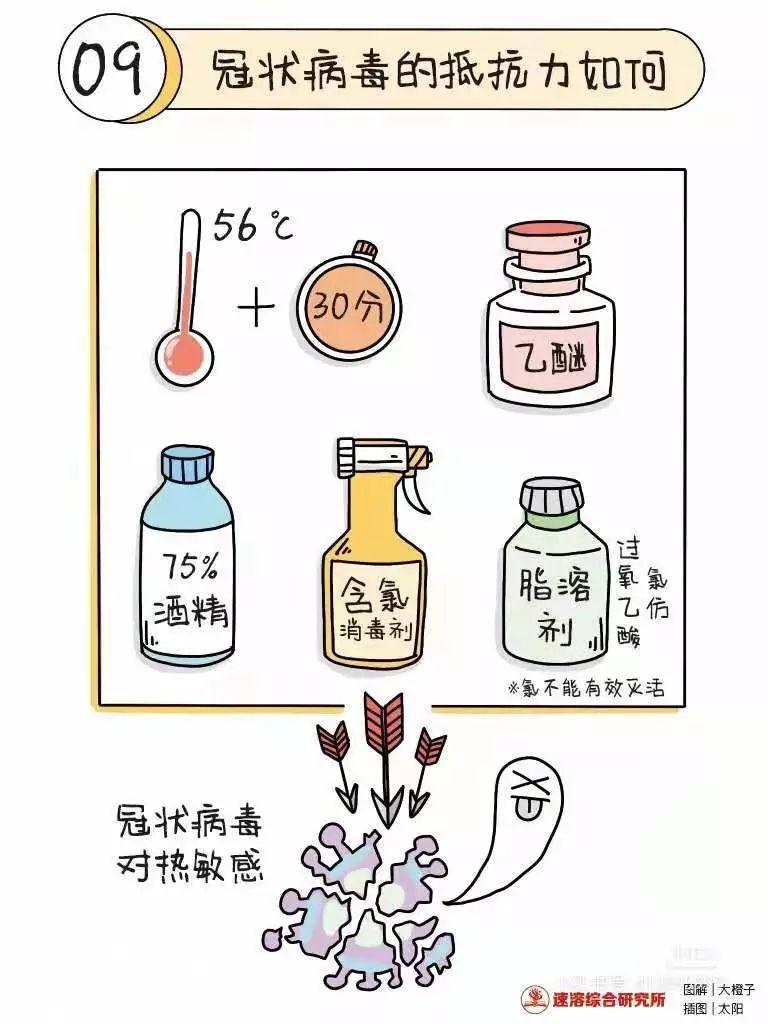 关于新型冠状病毒的小知识及倡议书图片_511 关于新型冠状病毒的小知识及倡议书图片_511