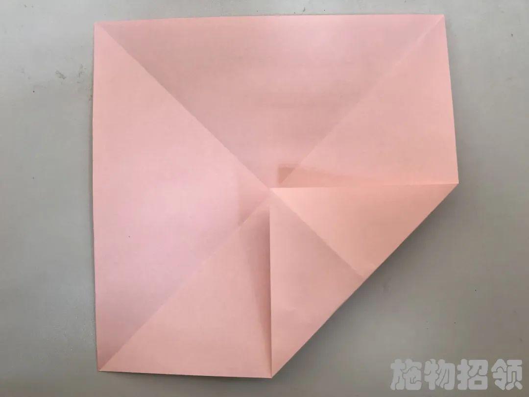 【施物招领】少年，你想做“飞猪”吗？图片_34359738367