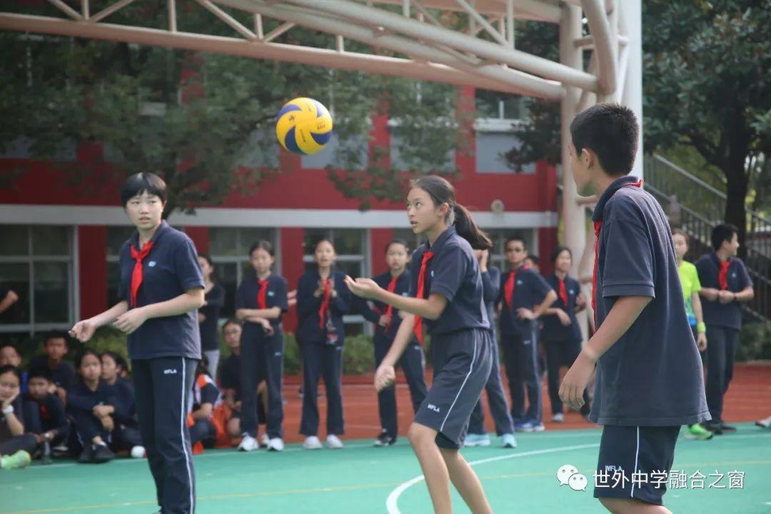 融合课程部2019年秋季运动会图片_16777215 融合课程部2019年秋季运动会图片_16777215
