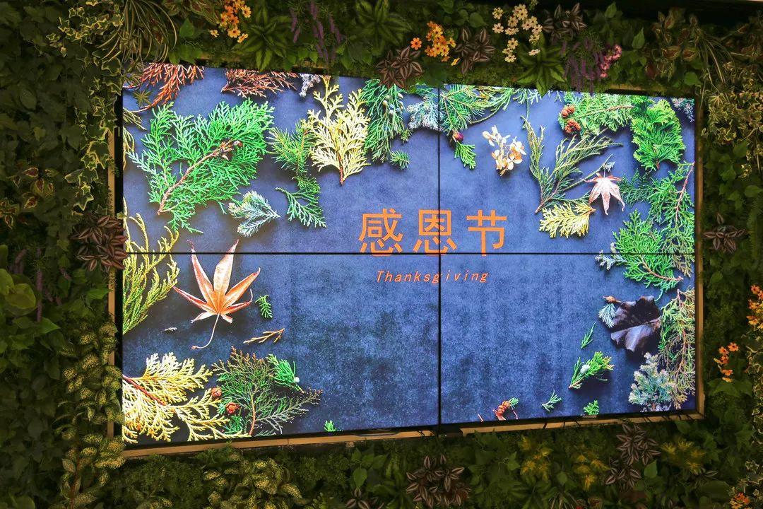 活动丨体验文化-感恩节图片_15 活动丨体验文化-感恩节图片_15