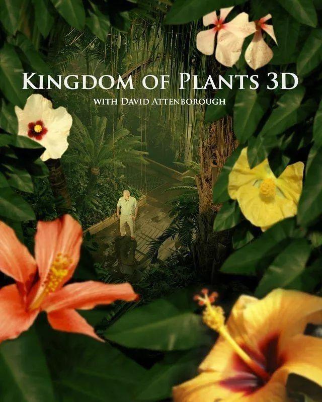 Life education: 15 nature documentaries to watch图片_8191