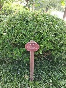 开学啦,领科与你不见不散~附送报到日指南图片_4095 开学啦,领科与你不见不散~附送报到日指南图片_4095