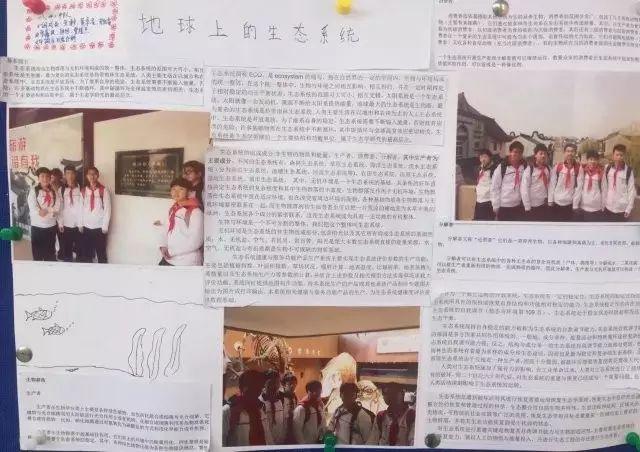 春季行走课程——上海上大附外中图片_288230376151711743