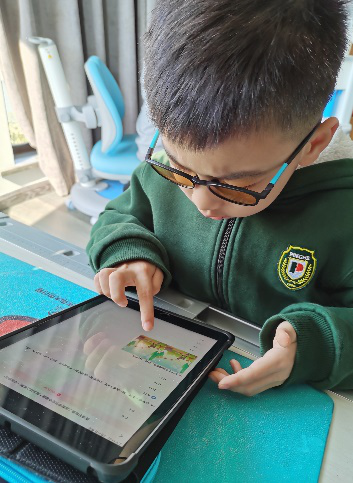 奇妙数学物语图片_16777215 奇妙数学物语图片_16777215