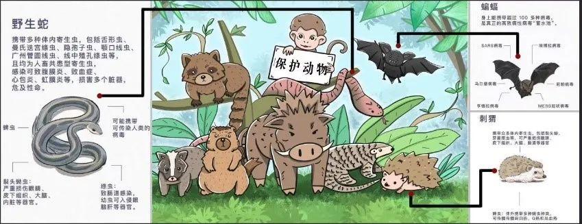 探秘教学直播间,解锁有温度的“云”课堂|Exploring Online Classrooms图片_2097151 探秘教学直播间,解锁有温度的“云”课堂|Exploring Online Classrooms图片_2097151