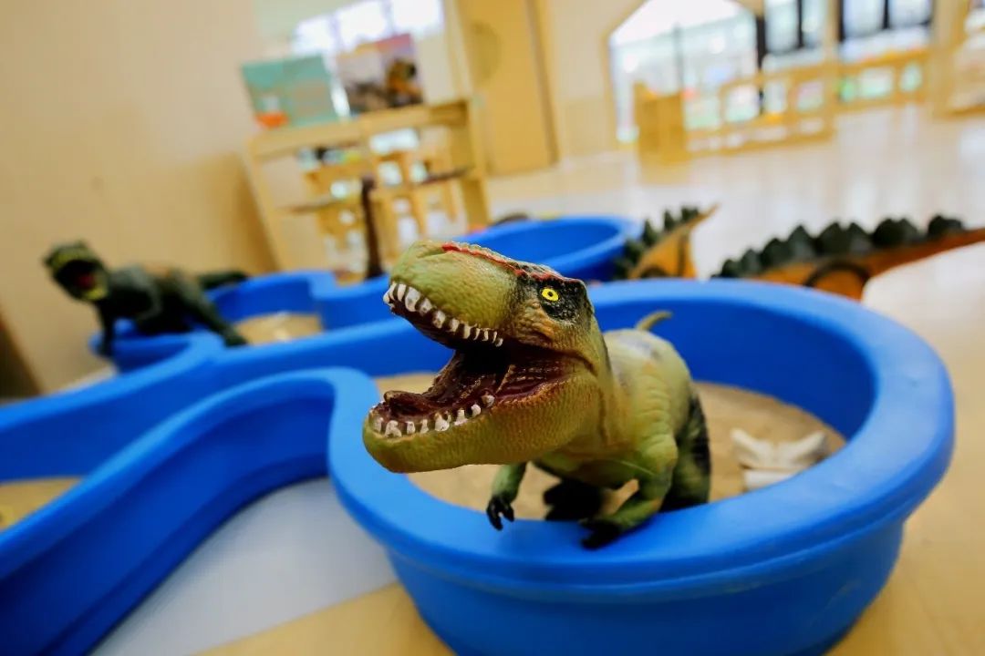 加入嘉兴市诺德幼儿园!Enrol At Nord Anglia Kindergarten Jiaxing图片_31 加入嘉兴市诺德幼儿园!Enrol At Nord Anglia Kindergarten Jiaxing图片_31