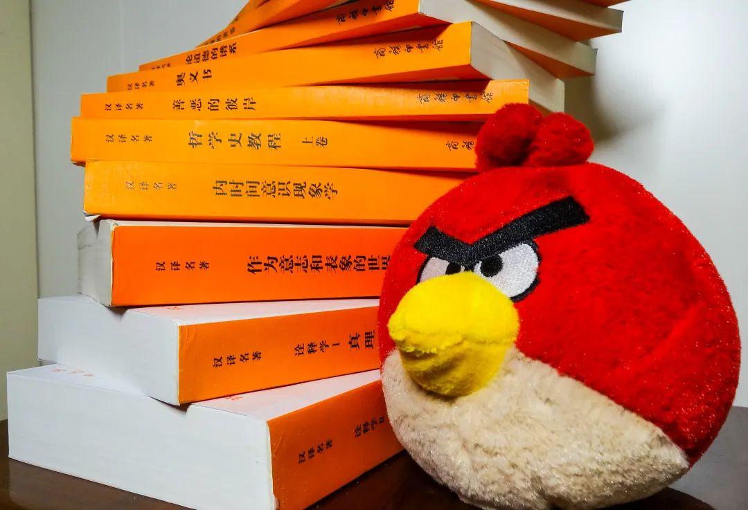 【2020届DP学子风采录】面对苍茫世界,上下求索图片_63 【2020届DP学子风采录】面对苍茫世界,上下求索图片_63