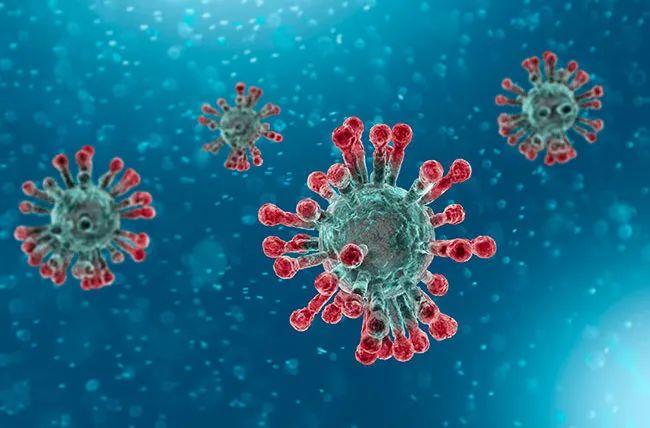 疫情特辑 | IB科学学子:新型肺炎科普图片_7 疫情特辑 | IB科学学子:新型肺炎科普图片_7