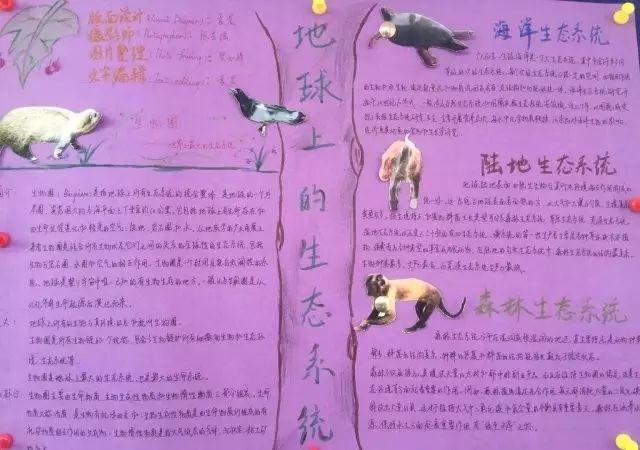 春季行走课程——上海上大附外中图片_144115188075855871