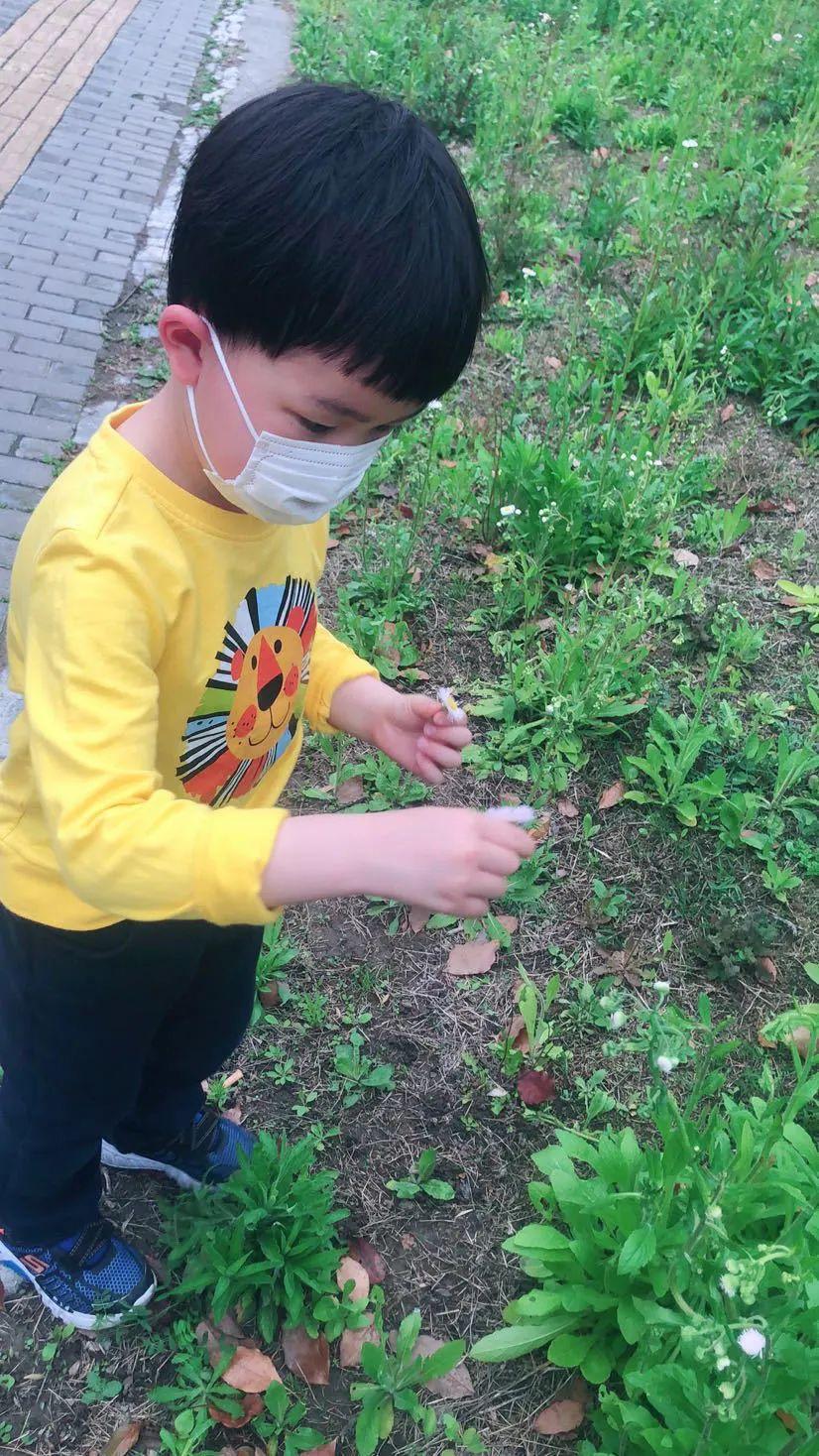 DTD绘本阅读者(第四期)图片_15 DTD绘本阅读者(第四期)图片_15