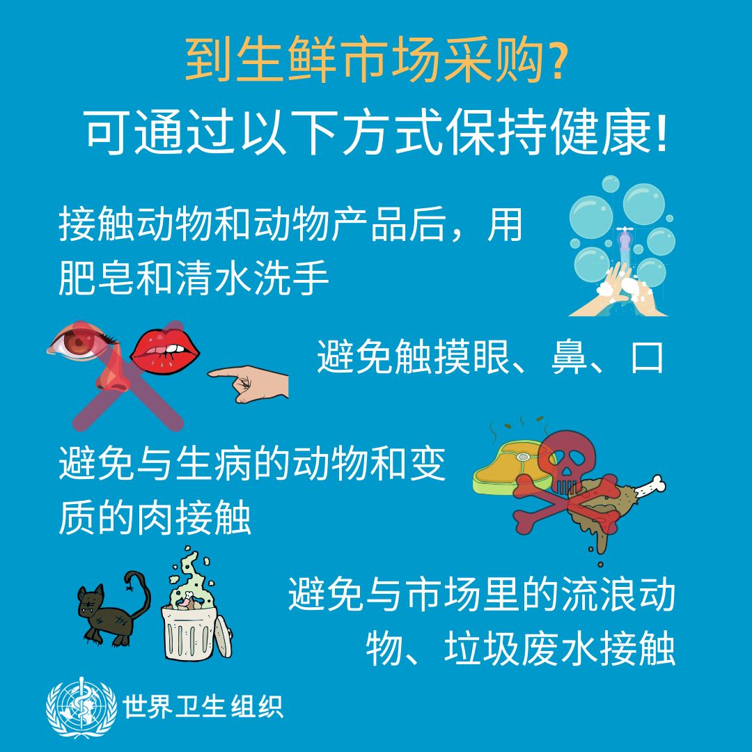 校园专栏-安全校园疫情防控指南 | Safe Campus epidemic prevention & control图片_524287 校园专栏-安全校园疫情防控指南 | Safe Campus epidemic prevention & control图片_524287