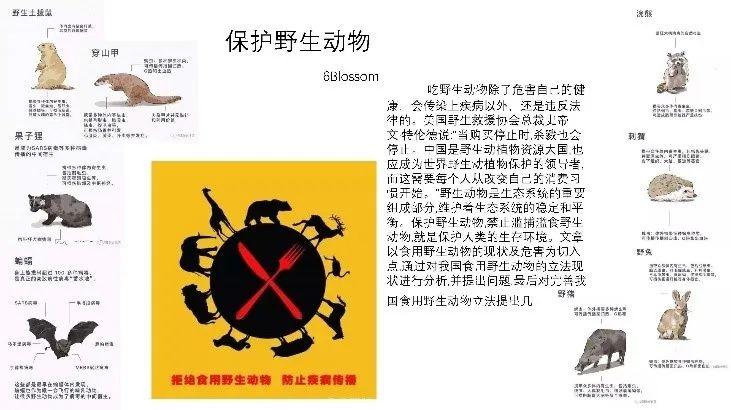 探秘教学直播间,解锁有温度的“云”课堂|Exploring Online Classrooms图片_4194303 探秘教学直播间,解锁有温度的“云”课堂|Exploring Online Classrooms图片_4194303