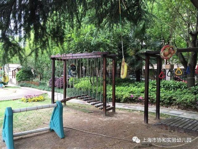 上海市协和实验幼儿园欢迎您!图片_127 上海市协和实验幼儿园欢迎您!图片_127