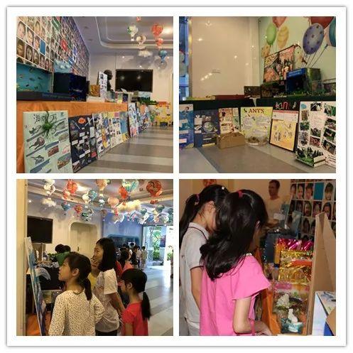 你好，大自然！（创新的灵感：美丽与哀愁）——记SESID三年级科学个性化作业展图片_7