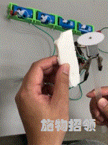 【施物招领】震惊!校园里的“电锯惊魂”!图片_2097151 【施物招领】震惊!校园里的“电锯惊魂”!图片_2097151