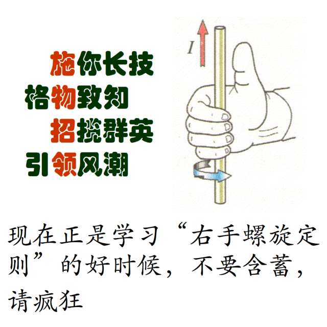 【施物招领】孟晚舟事件:美国到底怕华为什么?图片_2147483647 【施物招领】孟晚舟事件:美国到底怕华为什么?图片_2147483647