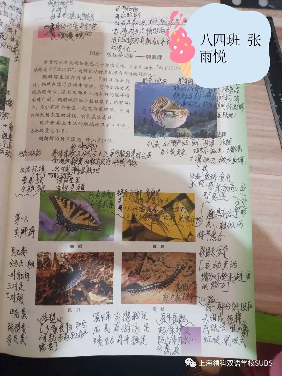 你的优秀有“记”可寻——领科双语学子课堂笔记大赏图片_2305843009213693951 你的优秀有“记”可寻——领科双语学子课堂笔记大赏图片_2305843009213693951