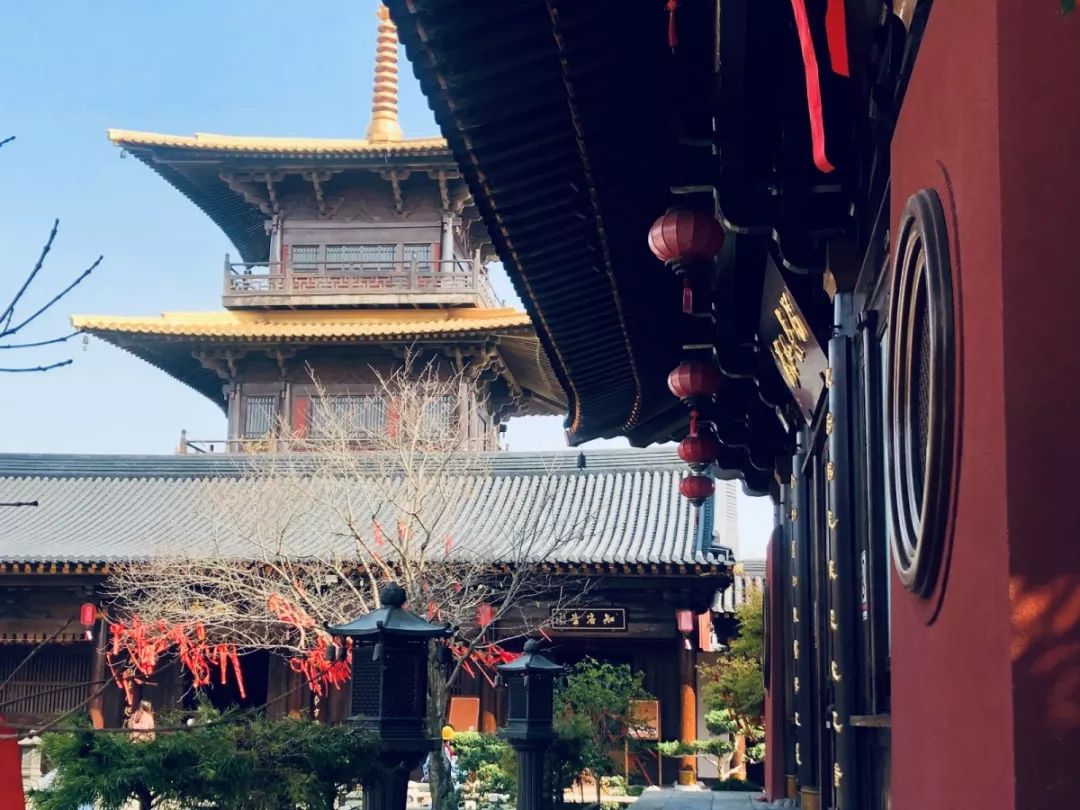 高中部 | 松江广富林遗址文化之旅图片_15