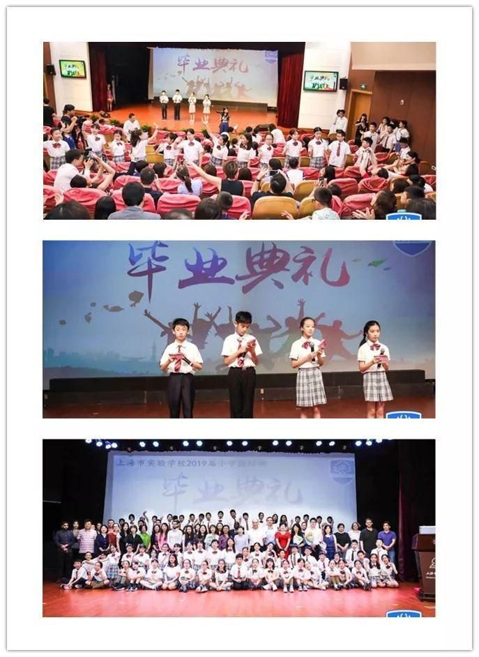 Never say goodbye……图片_15