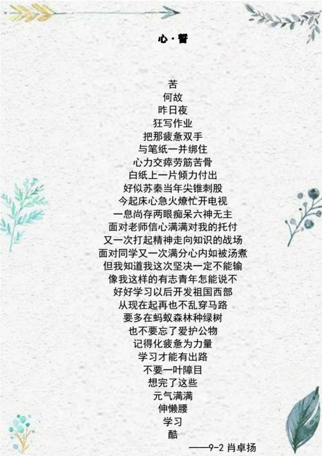 G9 | 第一单元优秀学生作品集锦图片_255