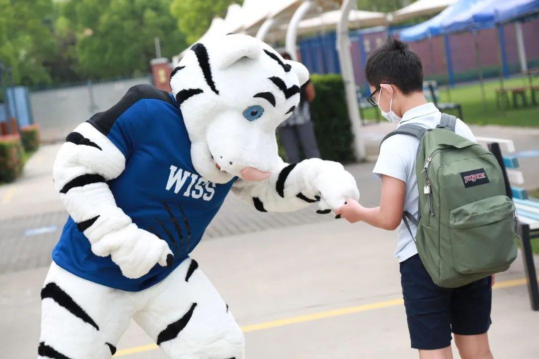 西华学子们回归校园啦！图片_7