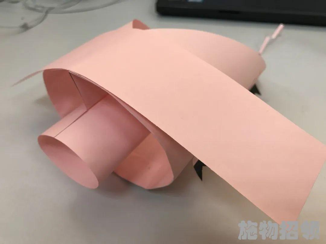 【施物招领】少年，你想做“飞猪”吗？图片_562949953421311