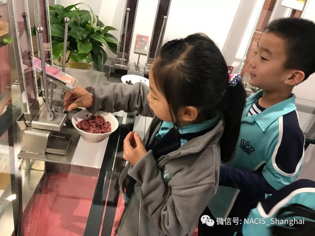 小学部丰富多彩的秋游 Primary Autumn Trips图片_127 小学部丰富多彩的秋游 Primary Autumn Trips图片_127