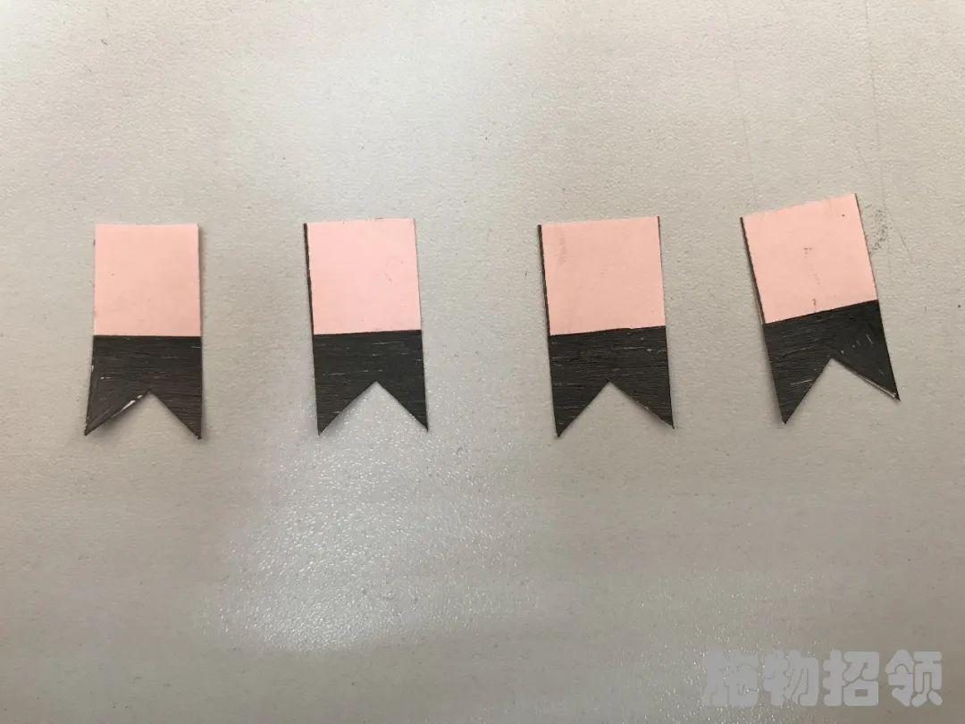 【施物招领】少年，你想做“飞猪”吗？图片_8796093022207