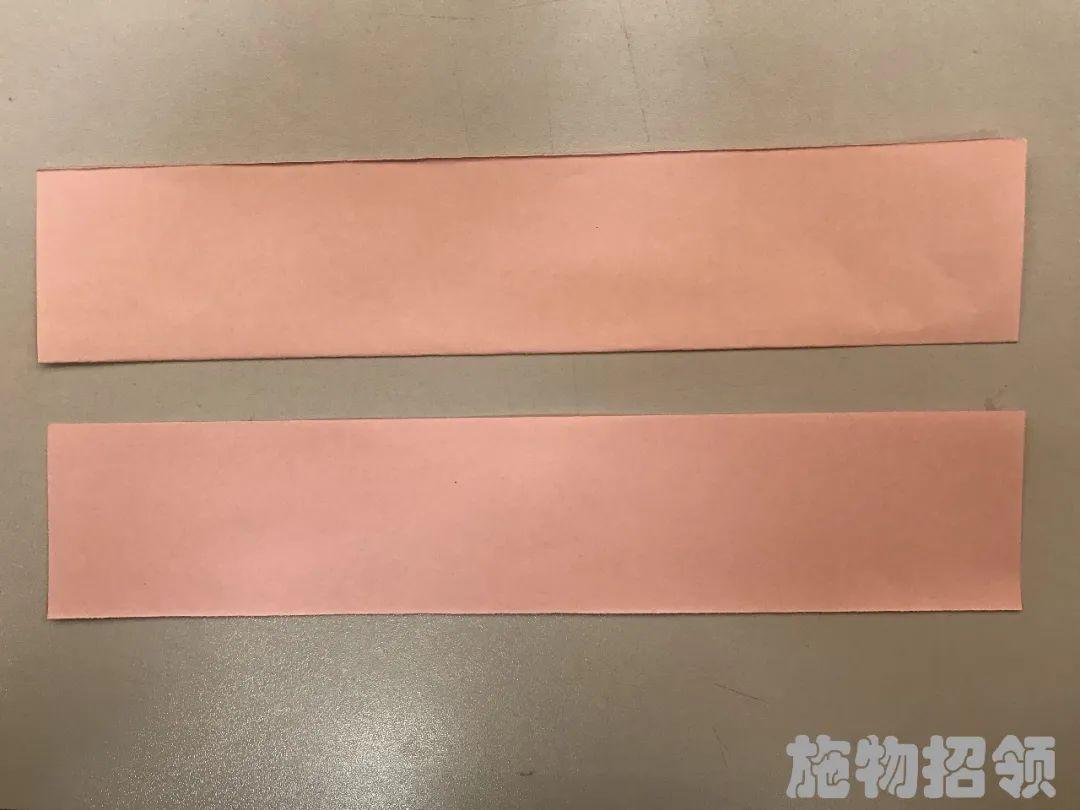 【施物招领】少年，你想做“飞猪”吗？图片_1099511627775