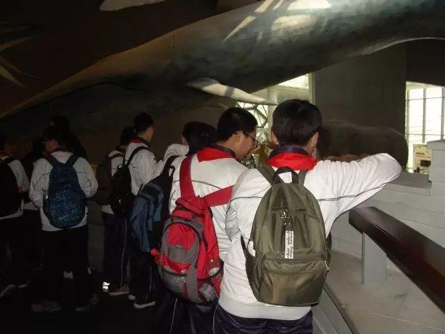 春季行走课程——上海上大附外中图片_17179869183