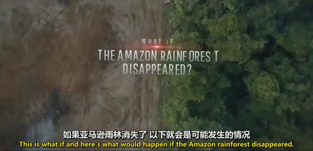 NAIS课堂 | 超越传统Reading课堂 用多媒体创意制作让孩子们成为雨林保护使者图片_511 NAIS课堂 | 超越传统Reading课堂 用多媒体创意制作让孩子们成为雨林保护使者图片_511
