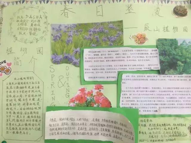 春季行走课程——上海上大附外中图片_17592186044415