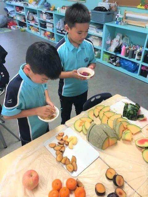 学习如何制作水果沙拉 Learn How to Make Fruit Salad图片_1023 学习如何制作水果沙拉 Learn How to Make Fruit Salad图片_1023