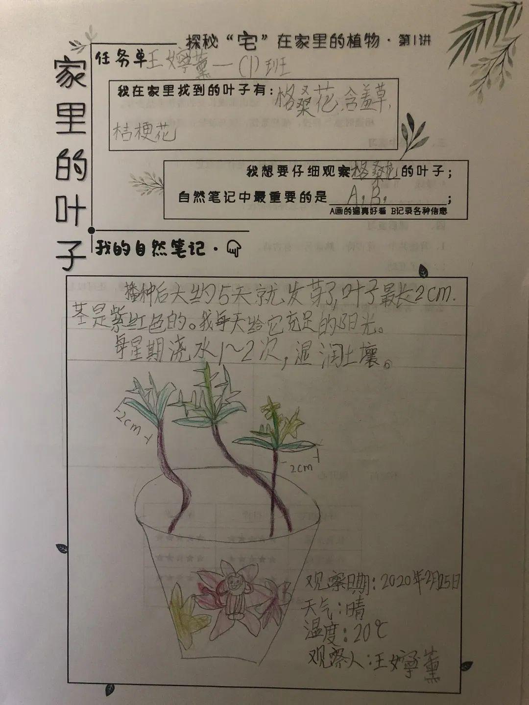 玉琢成器 人学知义——记尚德航头校区之“云”端战“疫”图片_140737488355327 玉琢成器 人学知义——记尚德航头校区之“云”端战“疫”图片_140737488355327