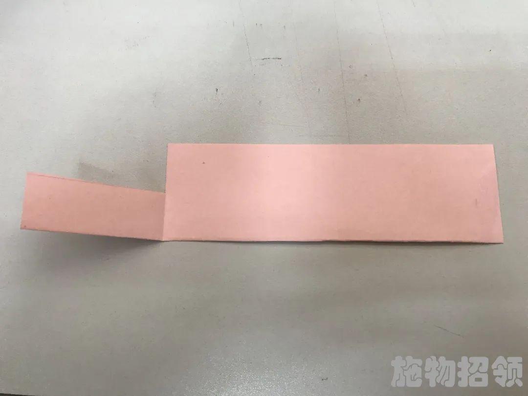 【施物招领】少年，你想做“飞猪”吗？图片_140737488355327