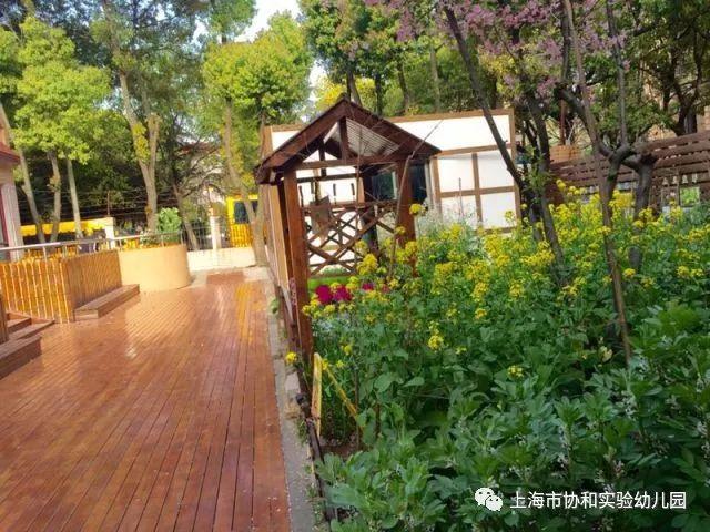 上海市协和实验幼儿园开始招生啦!图片_8191 上海市协和实验幼儿园开始招生啦!图片_8191