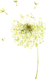 花香满径,与你同行 | Happy Teachers' Day!图片_16777215 花香满径,与你同行 | Happy Teachers' Day!图片_16777215