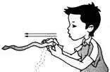 【施物招领】少年，你想做“飞猪”吗？图片_524287