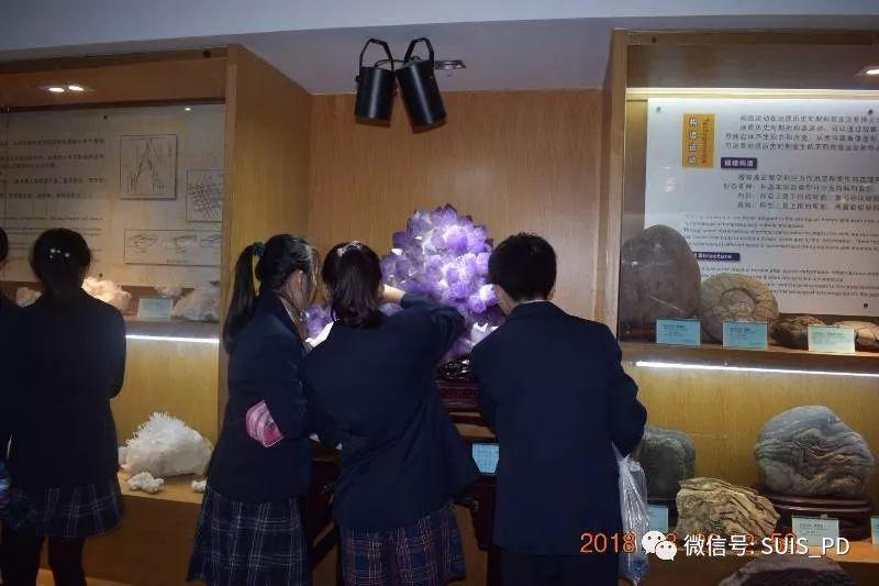 探寻上海东方地质科普馆中的地球奥秘图片_15