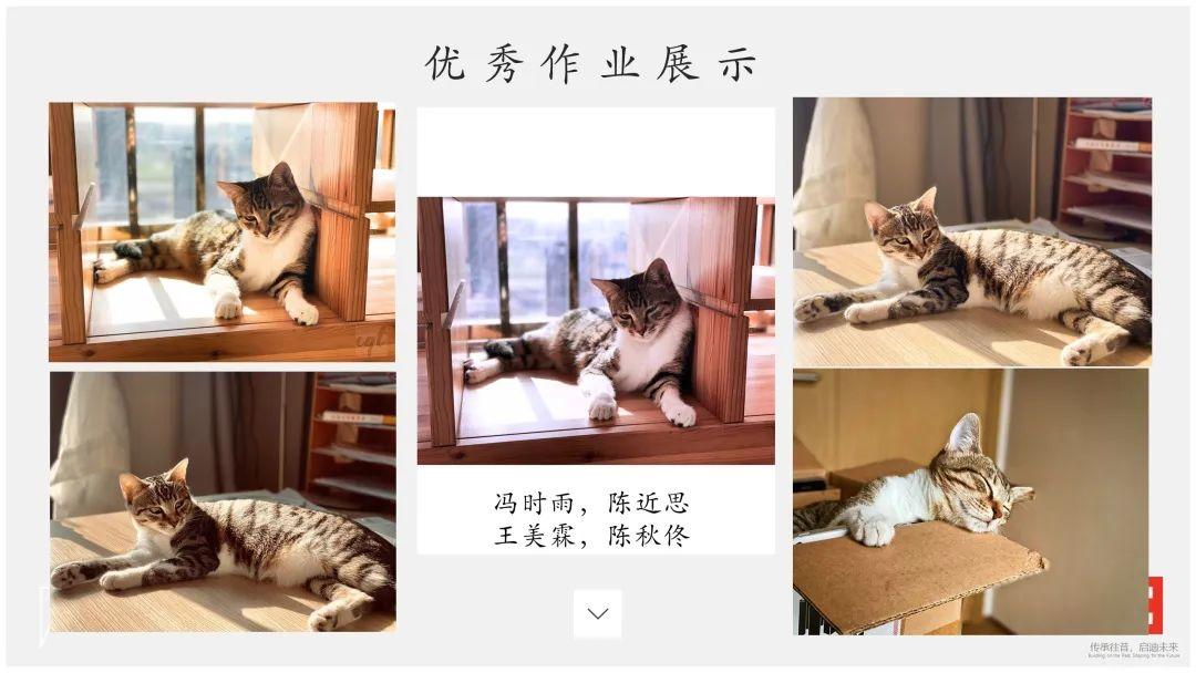 2020线上和壹 | 第一期作业点评课回顾图片_31 2020线上和壹 | 第一期作业点评课回顾图片_31