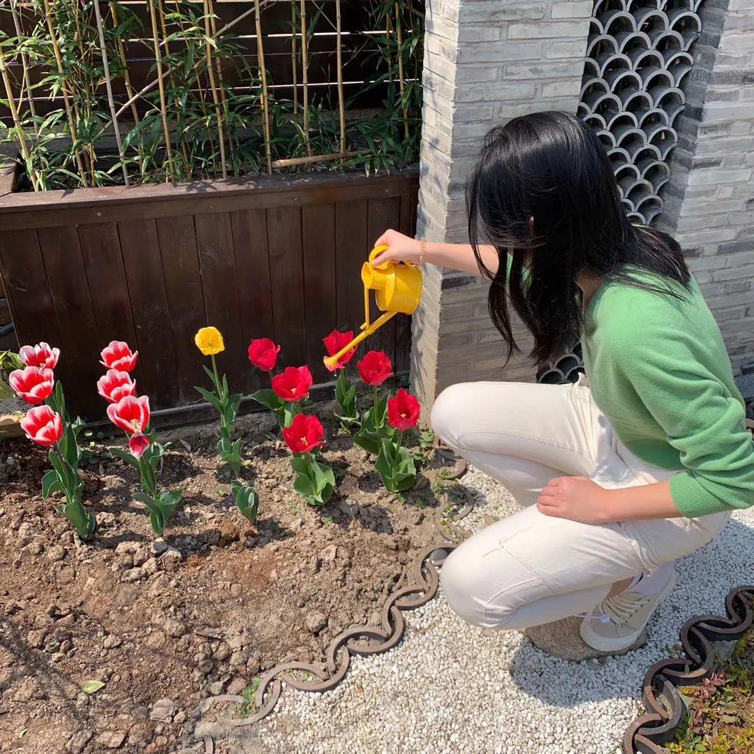 【2020届DP学子风采录】用社会关怀点燃心中光亮图片_4194303 【2020届DP学子风采录】用社会关怀点燃心中光亮图片_4194303