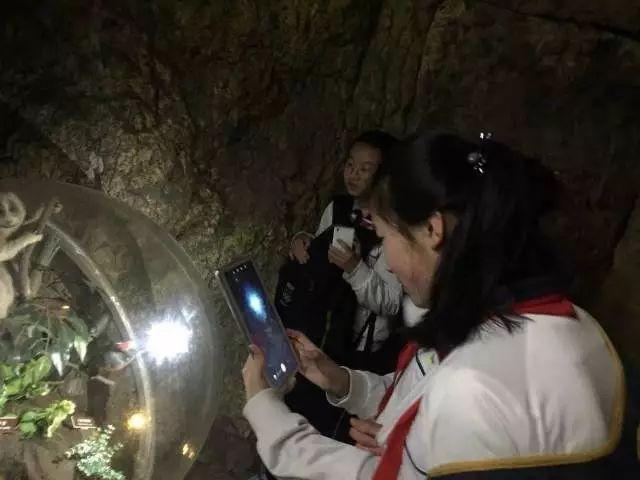 春季行走课程——上海上大附外中图片_8388607
